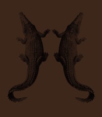 two alligators on a brown background