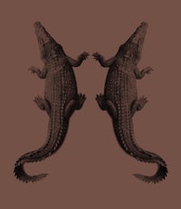 two crocodiles on a brown background