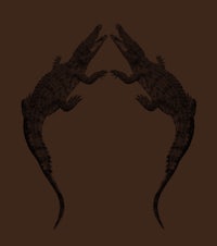 two crocodiles on a brown background