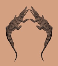 a woman doing a yoga pose on a brown background